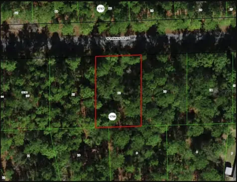 898 W Bannister Drive Citrus Springs FL 34434