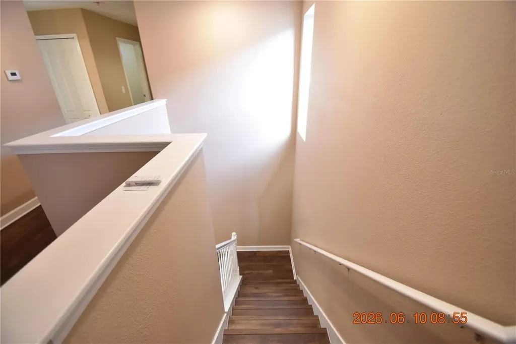 20019 Date Palm Way Tampa FL 33647