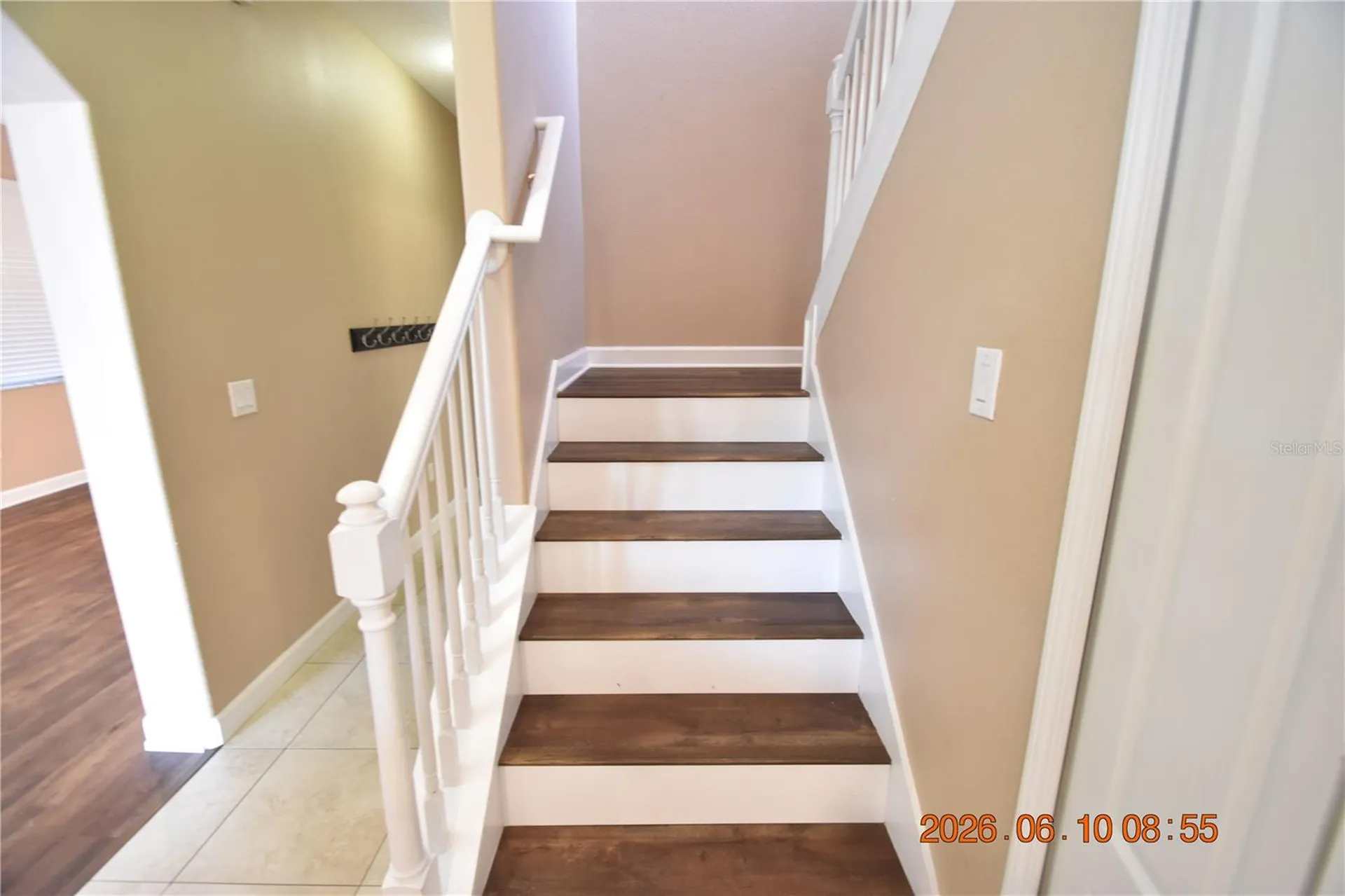 20019 Date Palm Way Tampa FL 33647