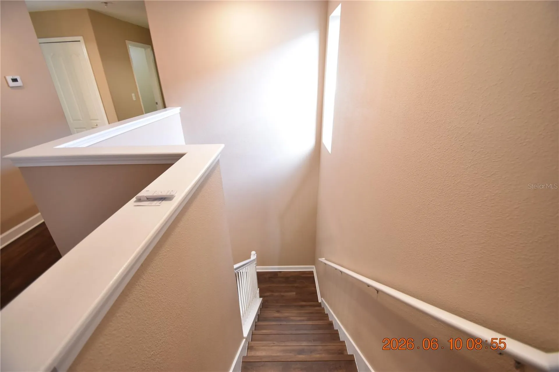 20019 Date Palm Way Tampa FL 33647