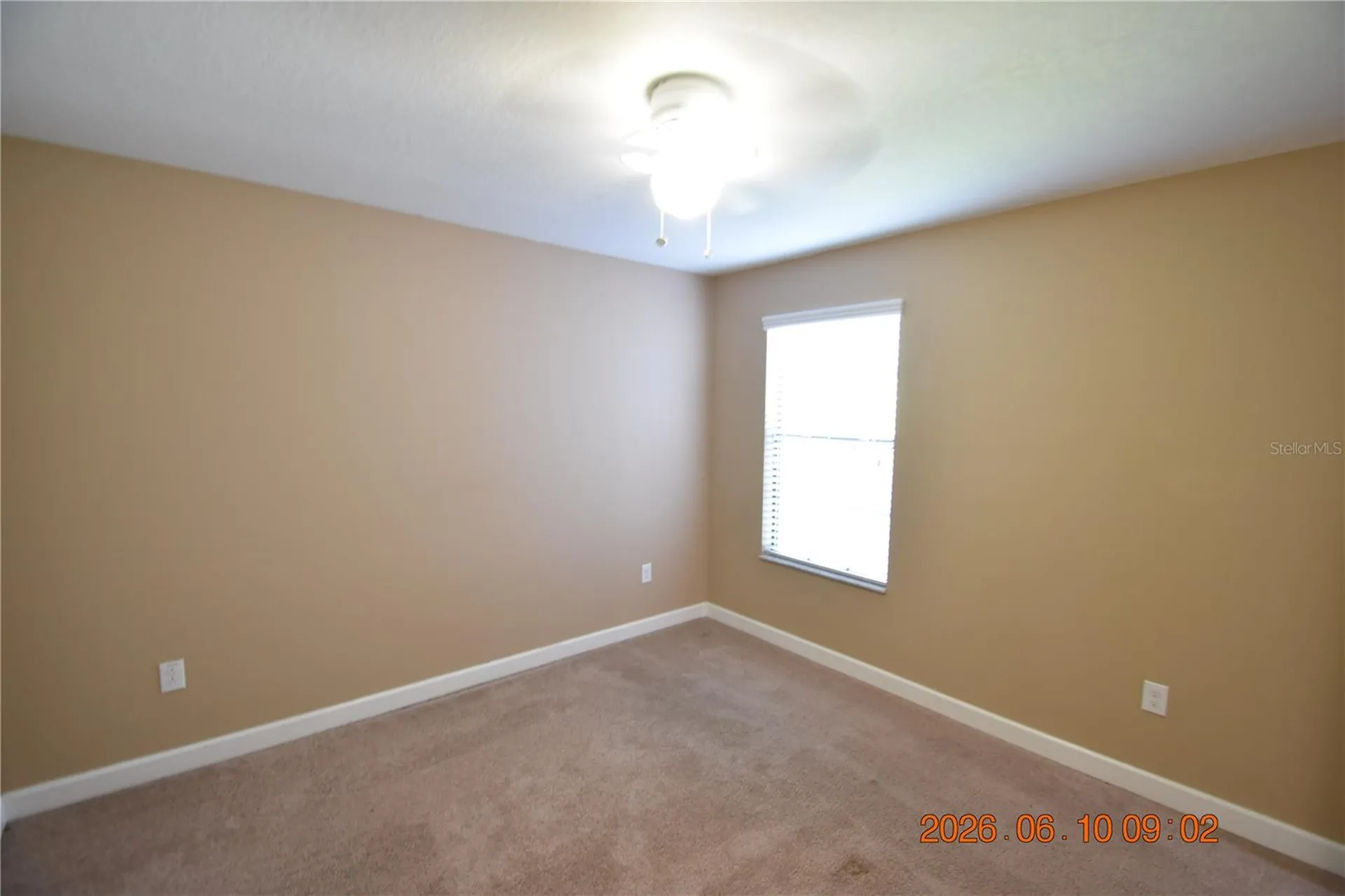 20019 Date Palm Way Tampa FL 33647