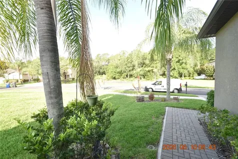 20019 Date Palm Way Tampa FL 33647