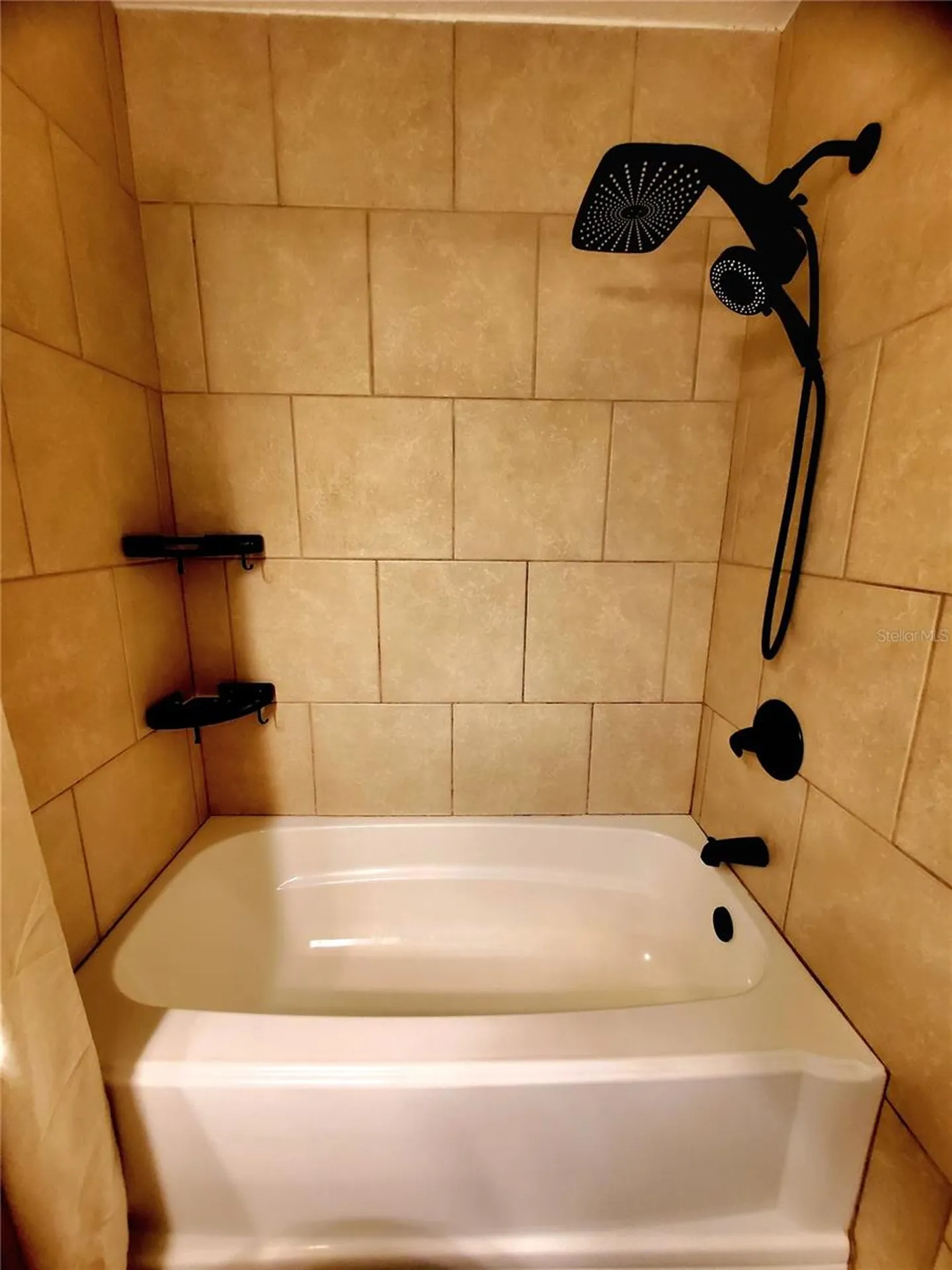 1924 Montego Court Oldsmar FL 34677