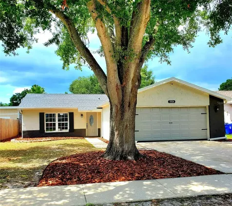 1924 Montego Court Oldsmar FL 34677