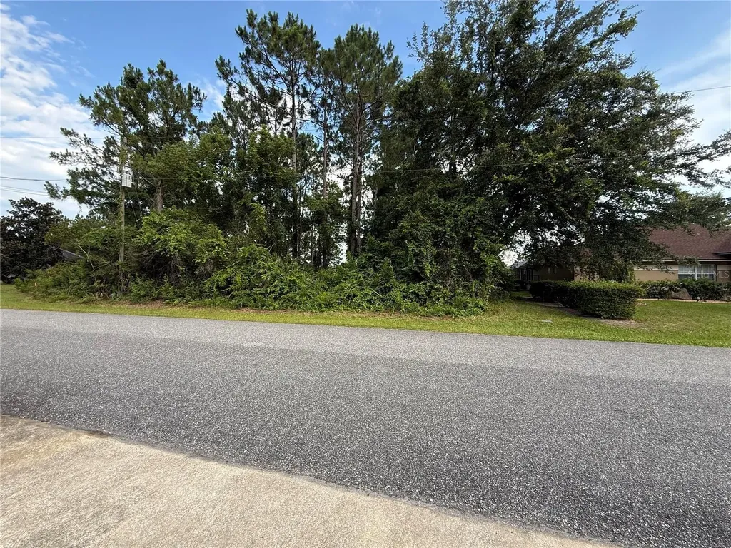 14 Ulawood Place Palm Coast FL 32164