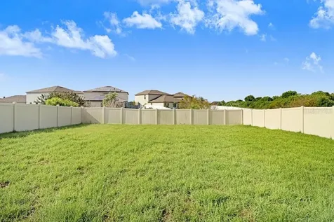 13514 Palmera Vista Drive Riverview FL 33579