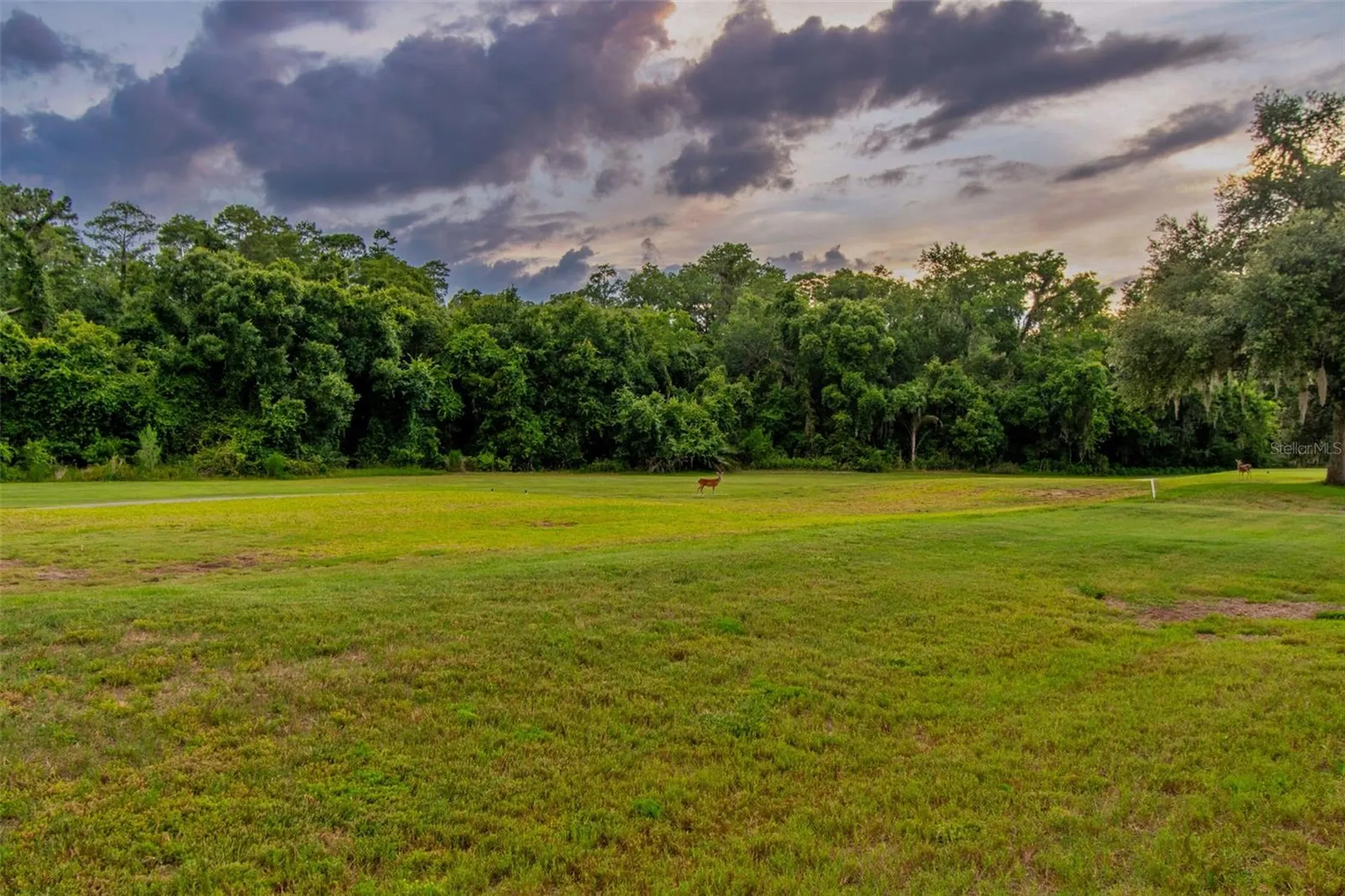 438 Tall Oak Trail Tarpon Springs FL 34688
