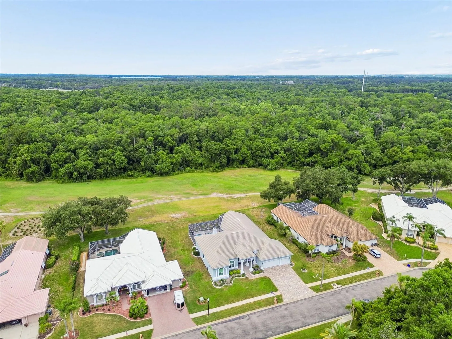 438 Tall Oak Trail Tarpon Springs FL 34688
