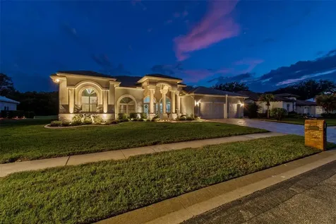 438 Tall Oak Trail Tarpon Springs FL 34688