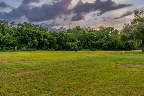 438 Tall Oak Trail Tarpon Springs FL 34688
