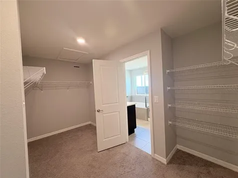 1753 Petiole Place Kissimmee FL 34744
