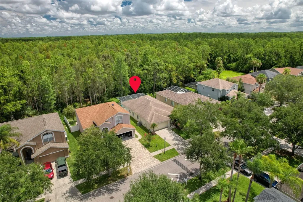 13220 Royal George Avenue Odessa FL 33556