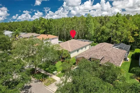 13220 Royal George Avenue Odessa FL 33556