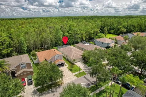13220 Royal George Avenue Odessa FL 33556