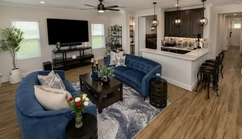 2665 Meander Cove Wesley Chapel FL 33543