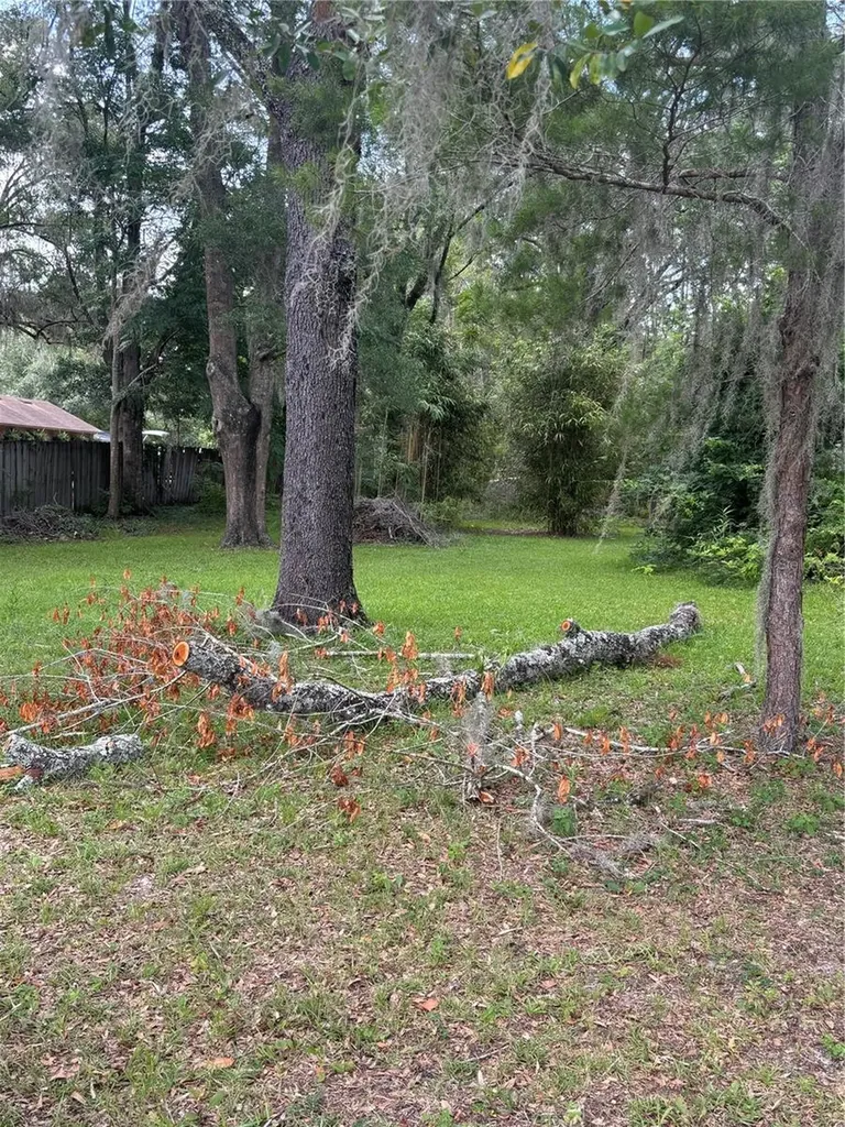4955 SE 140th Street Summerfield FL 34491