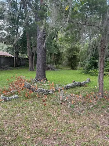 4955 SE 140th Street Summerfield FL 34491