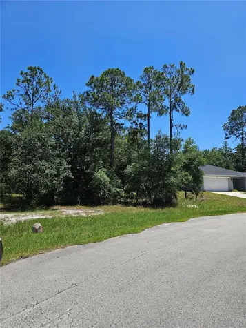 223 Starling Court Poinciana FL 34759