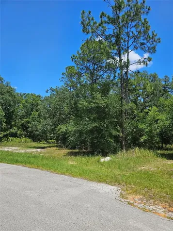 223 Starling Court Poinciana FL 34759