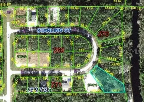 223 Starling Court Poinciana FL 34759