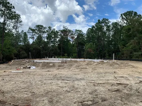 4807 W Pinto Loop Beverly Hills FL 34465