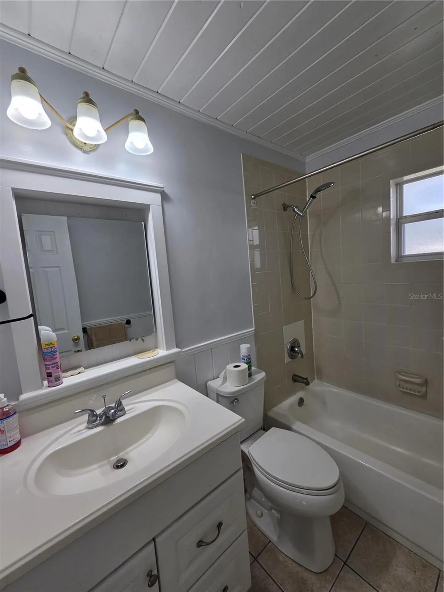 835 Golden Isle Drive Mount Dora FL 32757