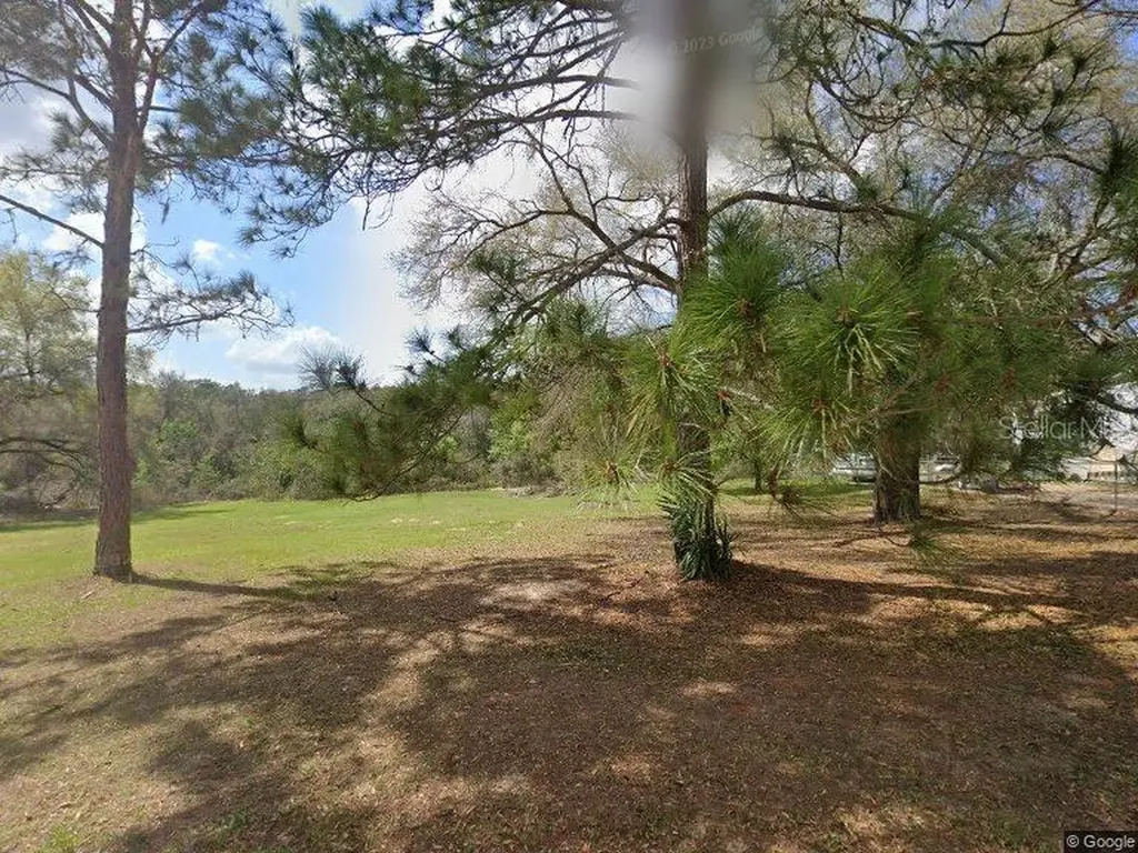 17100 SE 251st Terrace Umatilla FL 32784