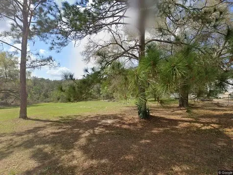 17100 SE 251st Terrace Umatilla FL 32784