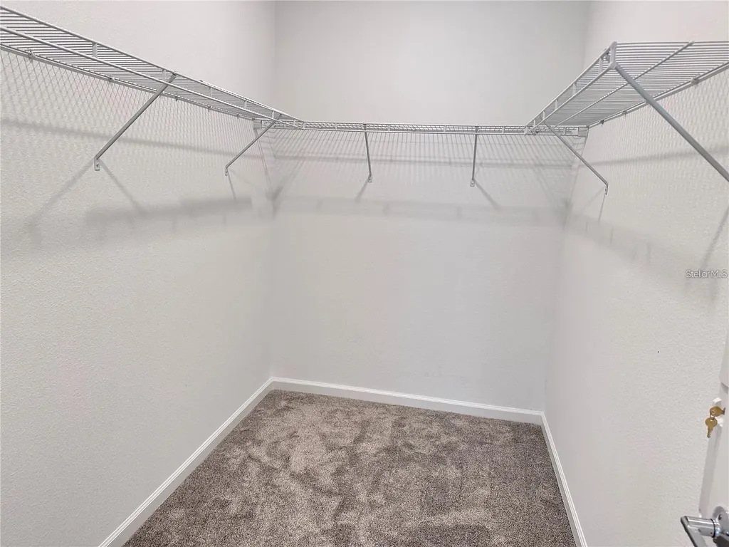11428 Great Rock Street Winter Garden FL 34787