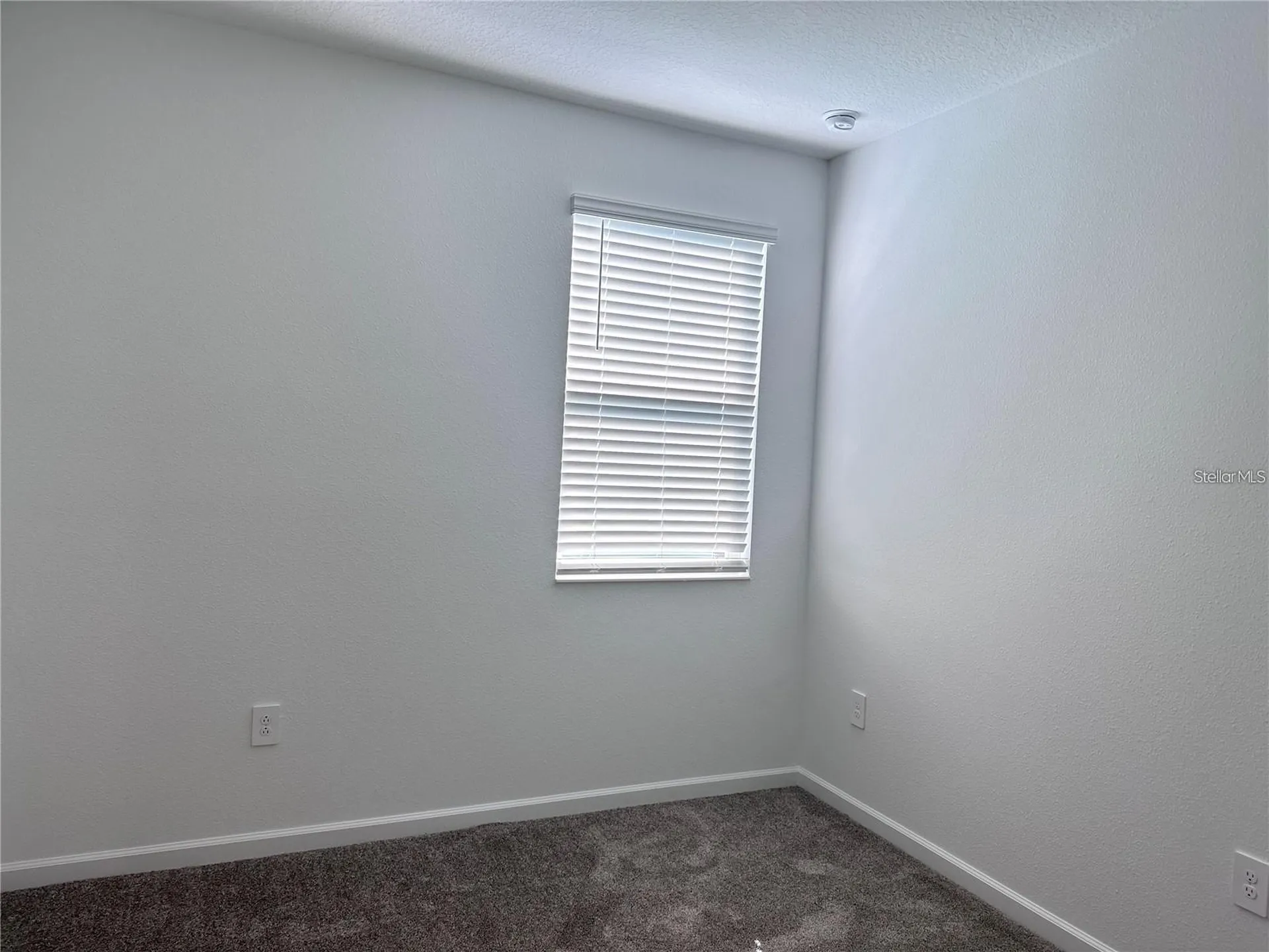 11428 Great Rock Street Winter Garden FL 34787