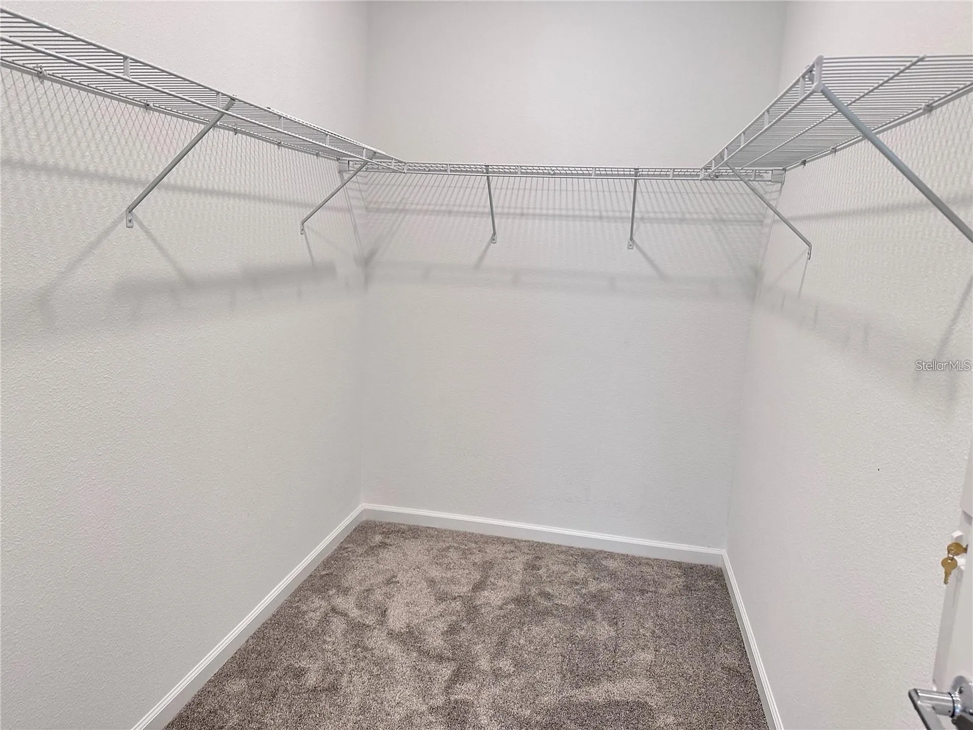 11428 Great Rock Street Winter Garden FL 34787