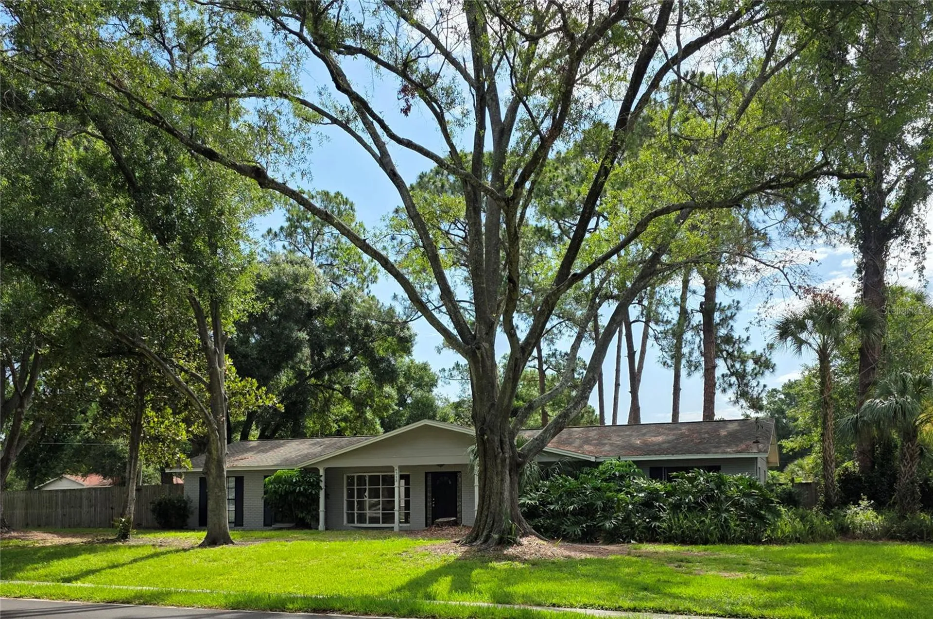 8313 Pat Boulevard Tampa FL 33615