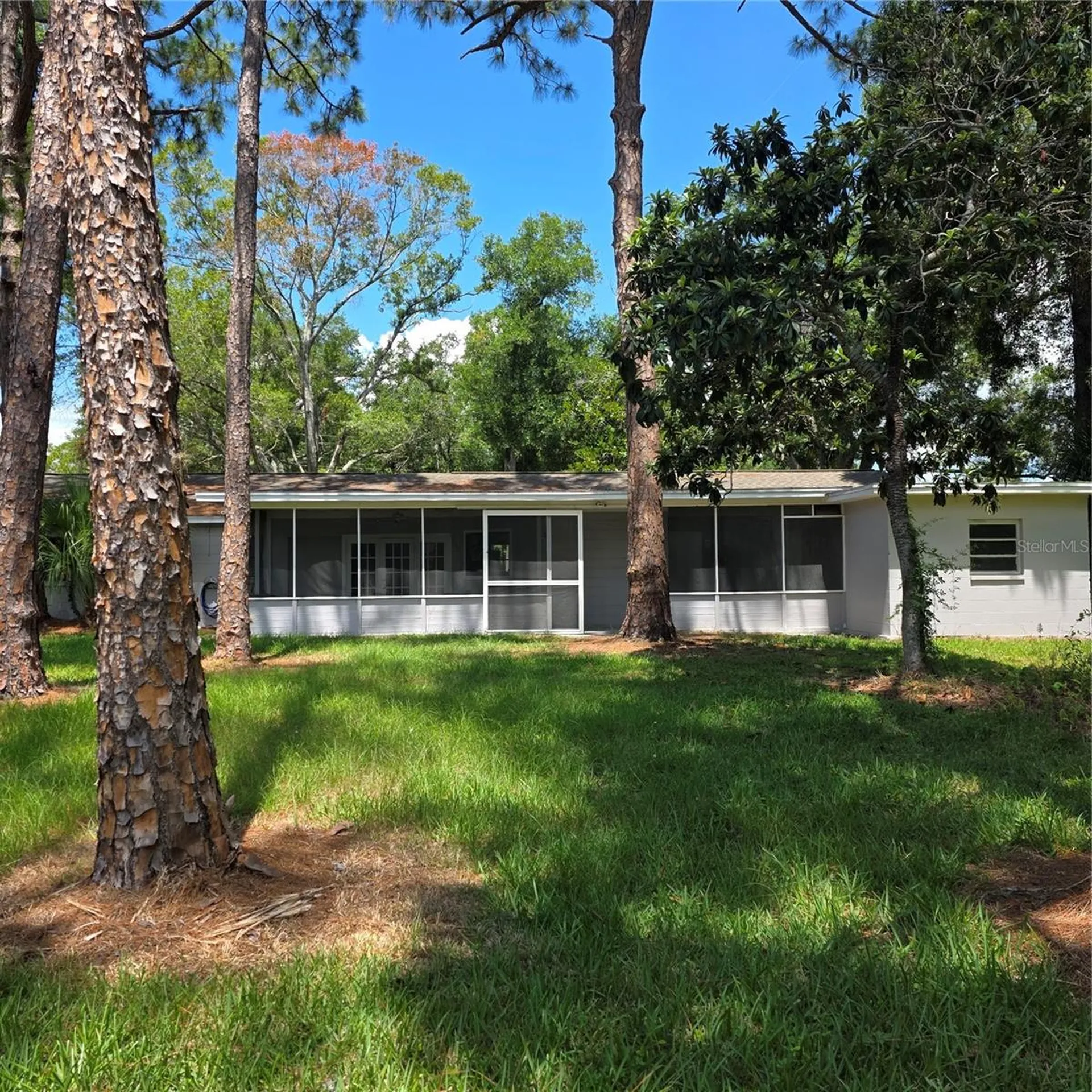 8313 Pat Boulevard Tampa FL 33615