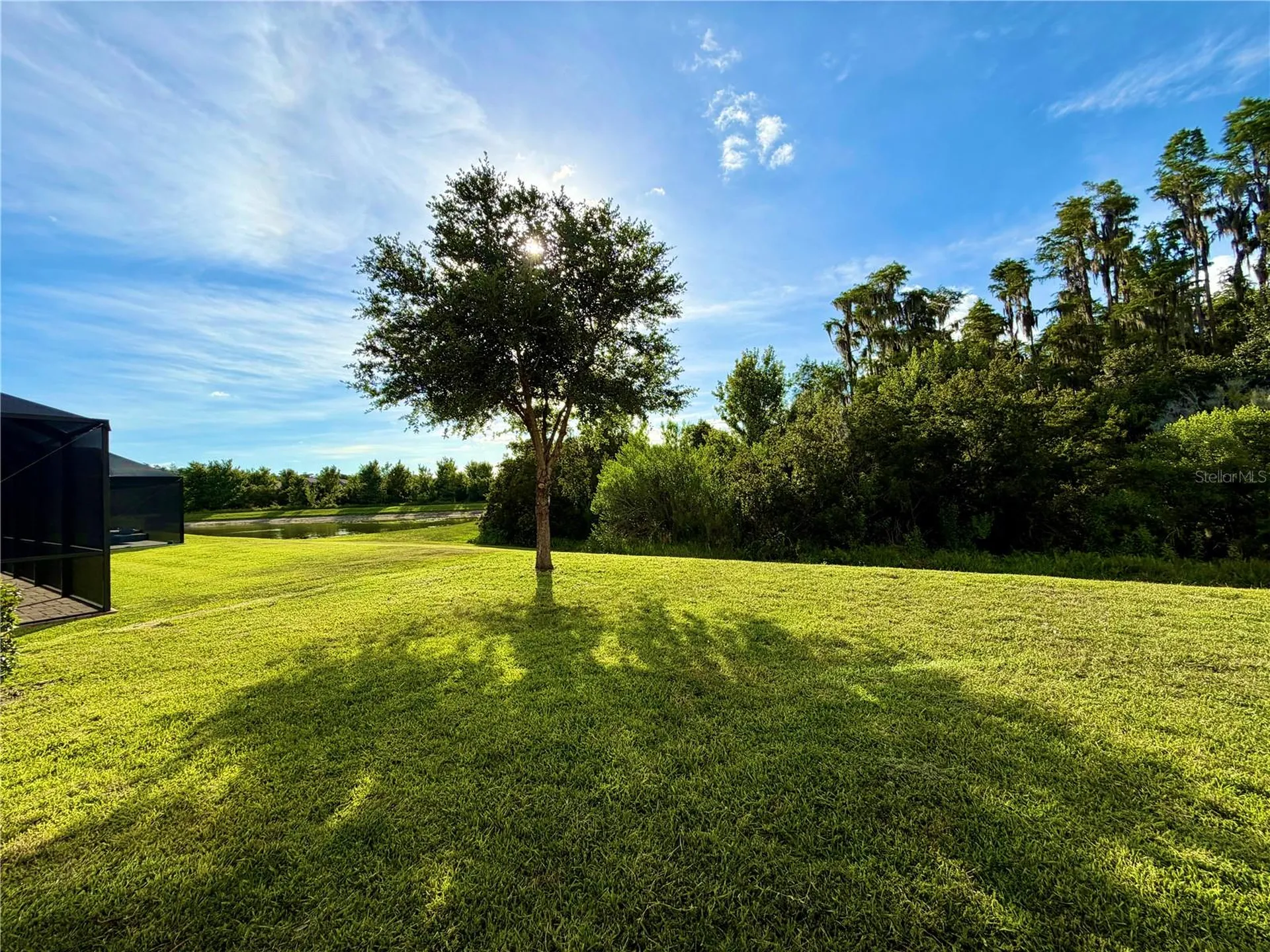 19522 Whispering Brook Drive Tampa FL 33647