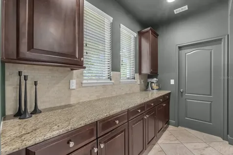 5310 Fishhawk Ridge Drive Lithia FL 33547