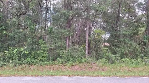 788 N Charles Avenue Inverness FL 34453