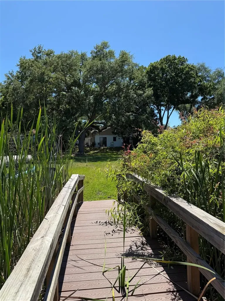 650 Bellingham Place Palm Harbor FL 34684