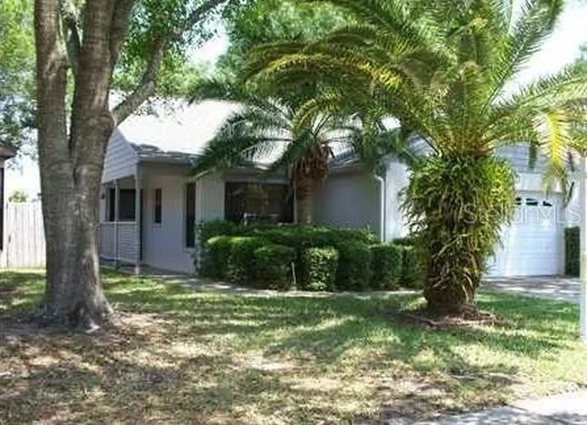 650 Bellingham Place Palm Harbor FL 34684