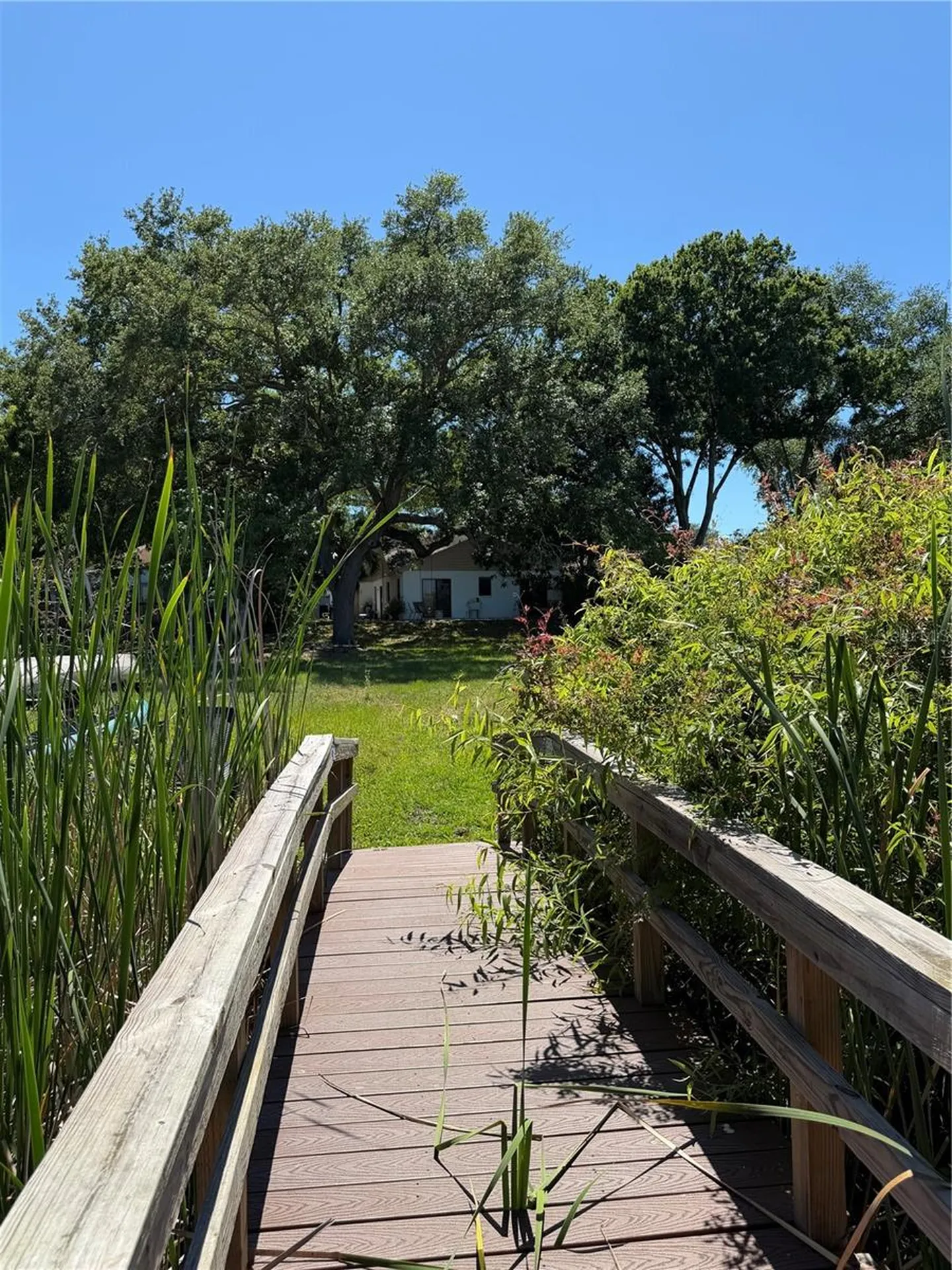 650 Bellingham Place Palm Harbor FL 34684