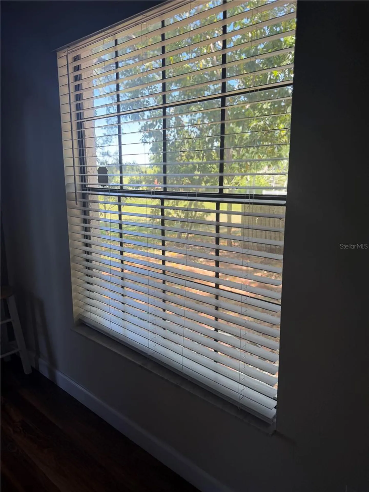 650 Bellingham Place Palm Harbor FL 34684