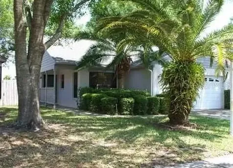 650 Bellingham Place Palm Harbor FL 34684