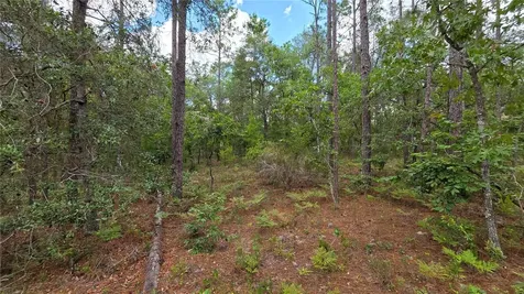 200 Hour Glass Circle Hawthorne FL 32640