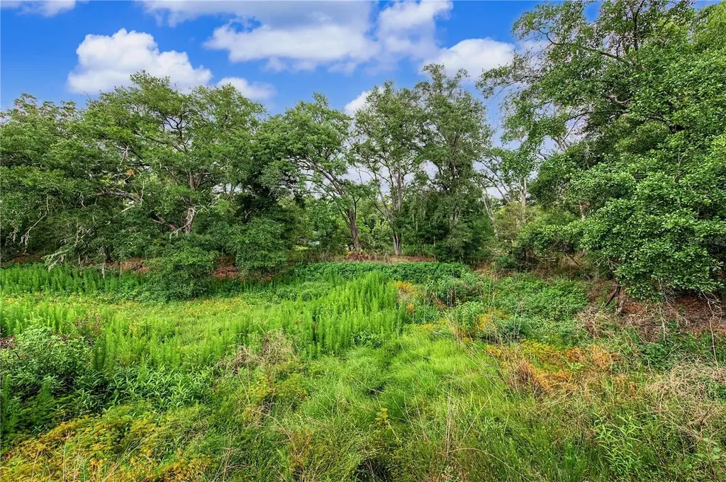 2216 Pinecrest Drive Lutz FL 33549