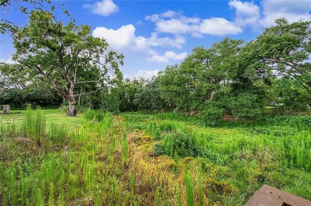 2216 Pinecrest Drive Lutz FL 33549