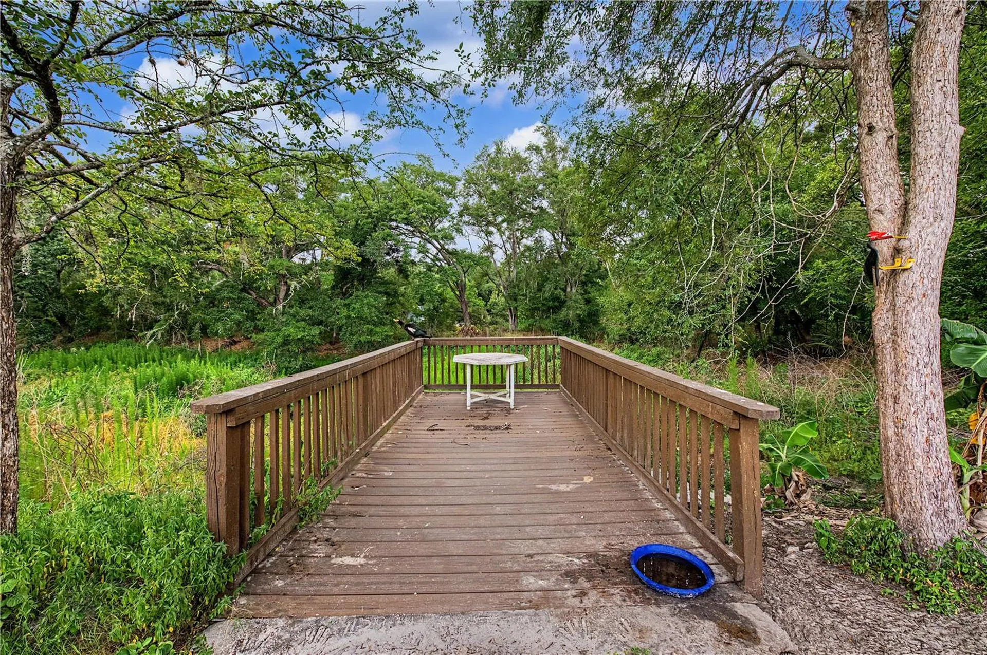 2216 Pinecrest Drive Lutz FL 33549