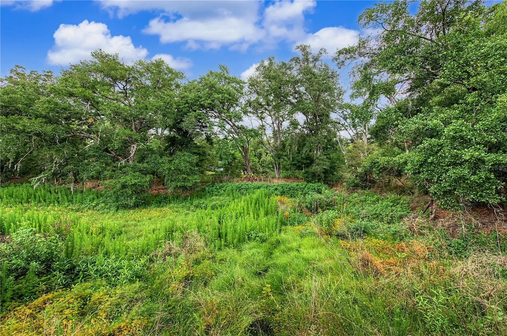 2216 Pinecrest Drive Lutz FL 33549