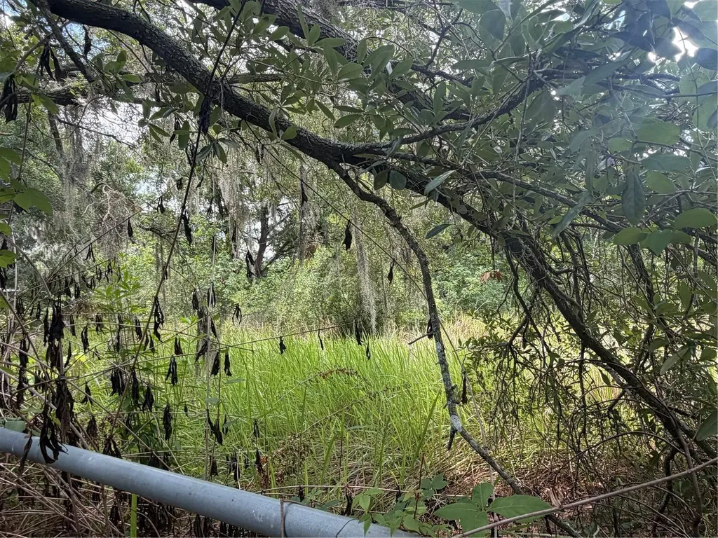4447 Edwards Road Plant City FL 33567