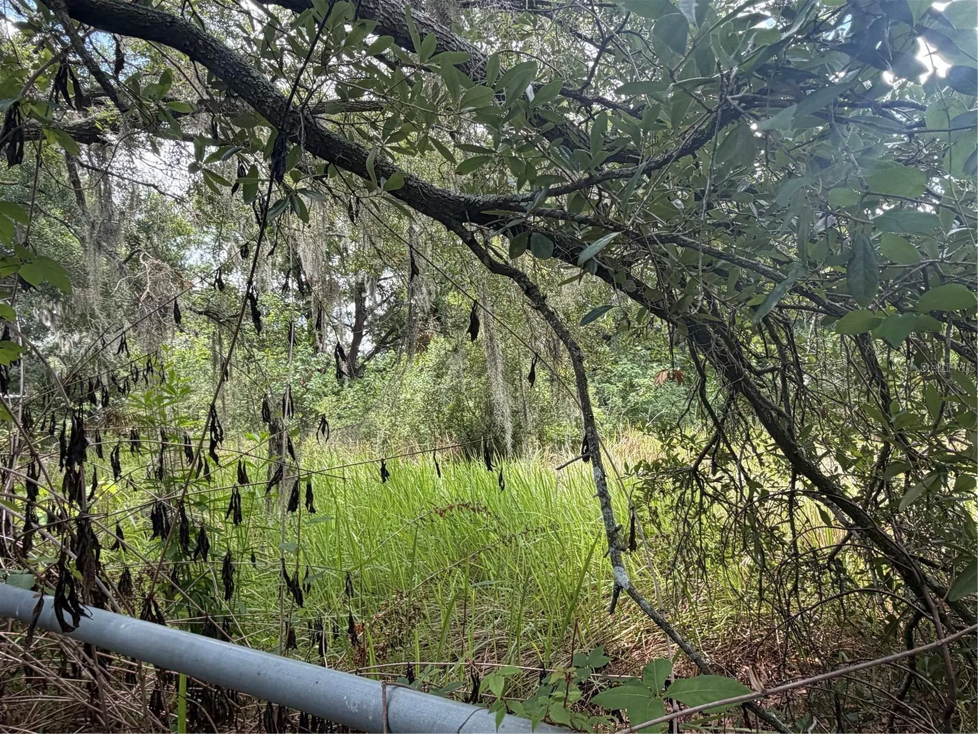 4447 Edwards Road Plant City FL 33567