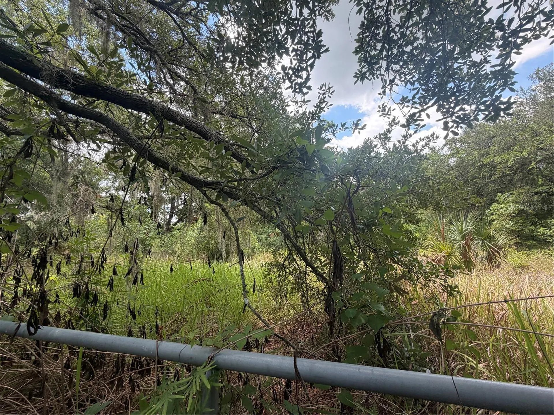 4447 Edwards Road Plant City FL 33567
