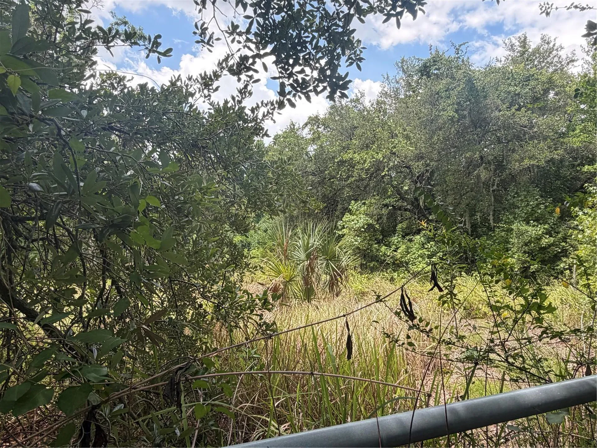 4447 Edwards Road Plant City FL 33567